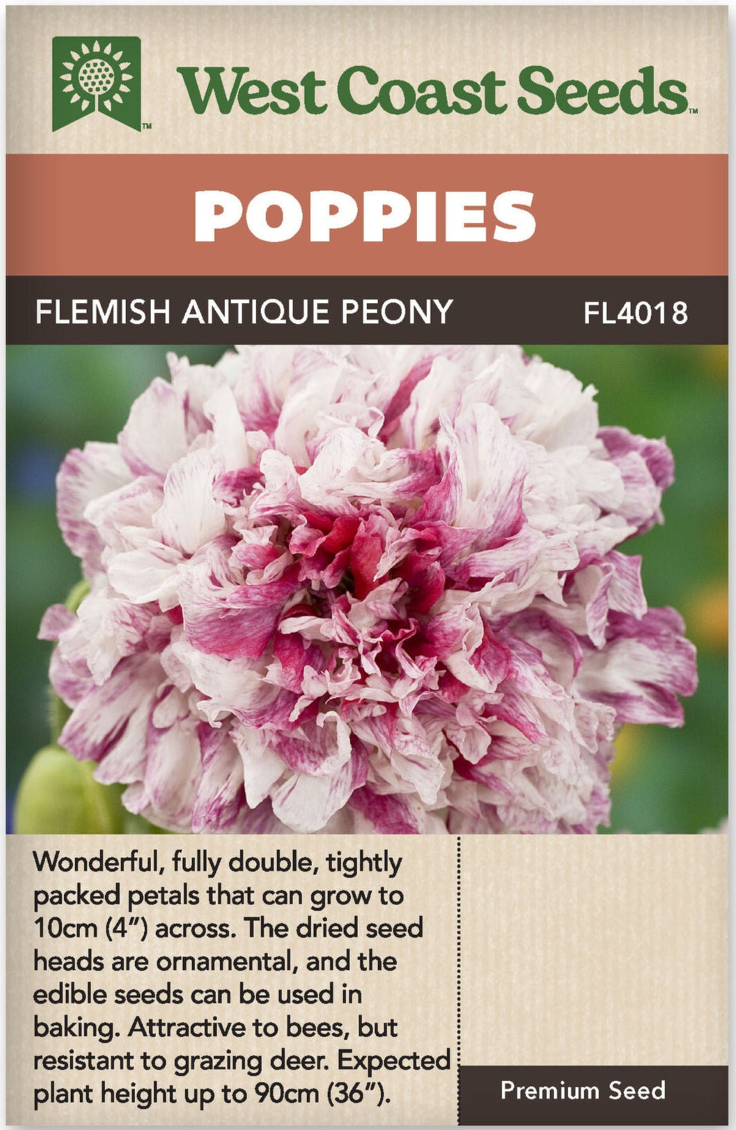 Flemish Antique Peony Poppy - West Coast Seeds