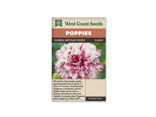 Flemish Antique Peony Poppy - West Coast Seeds