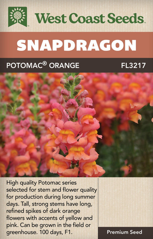 Snapdragon Potomac Orange - West Coast Seeds