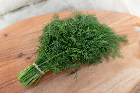 Organic Dill Thalia - West Coast Seeds