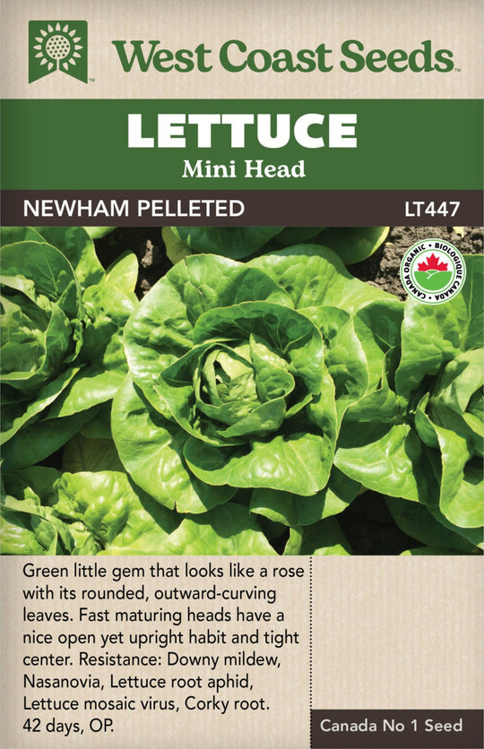 Organic Lettuce Newham Pelleted - West Coast Seeds