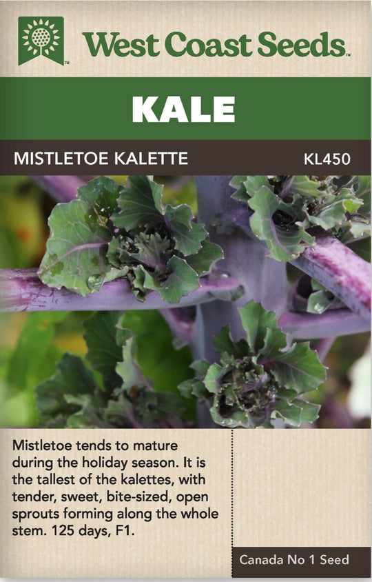 Kale Mistletoe Kalette - West Coast Seeds