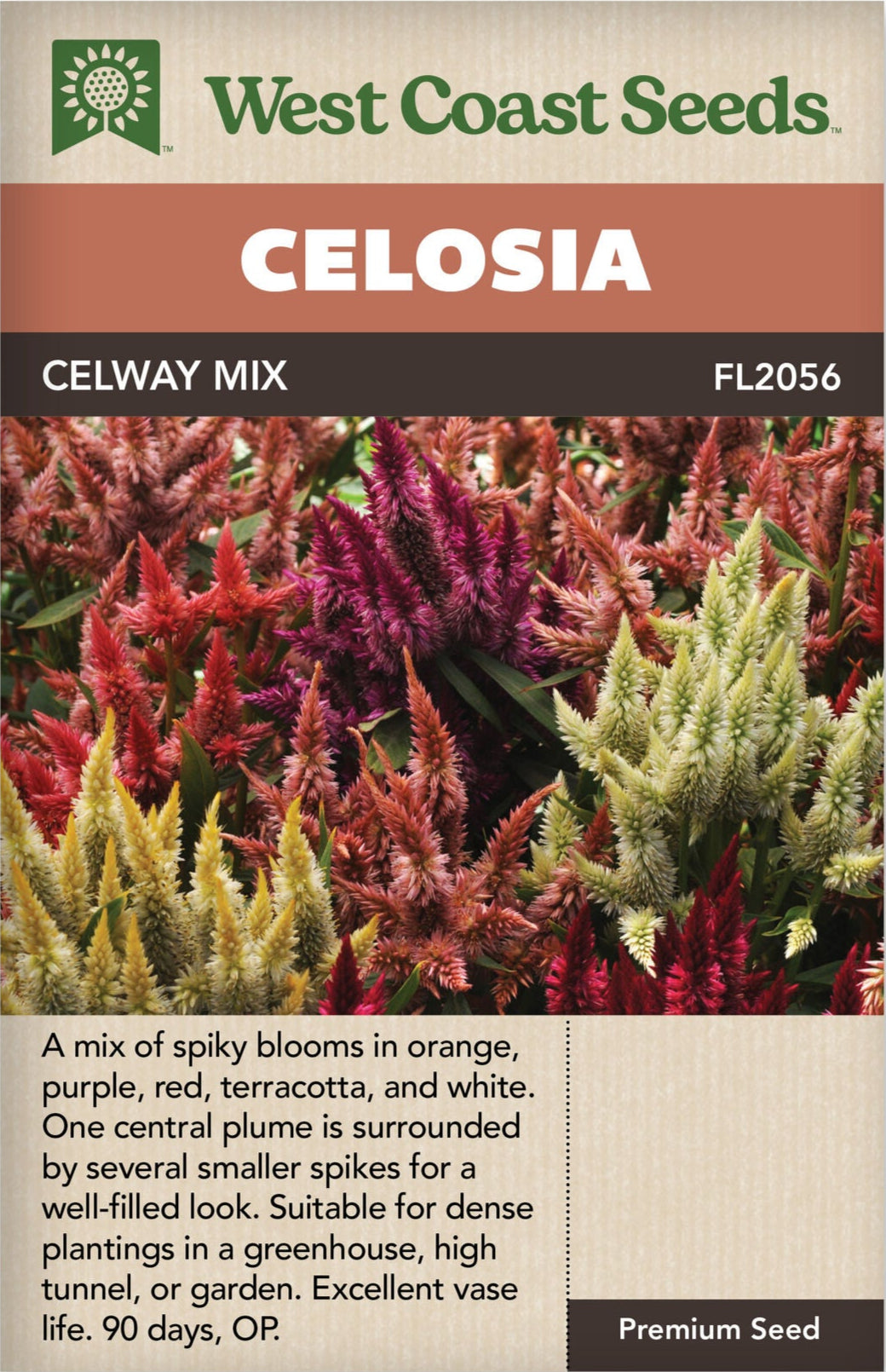 Celosia Celway Mix - West Coast Seeds