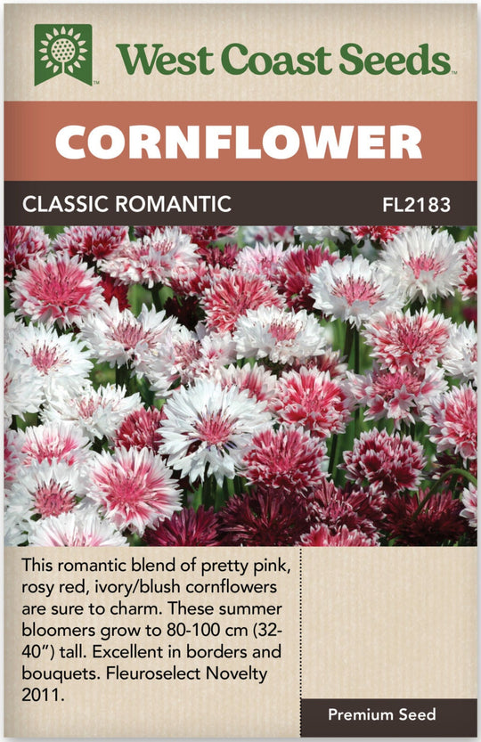 Cornflower Classic Romantic - West Coast Seeds