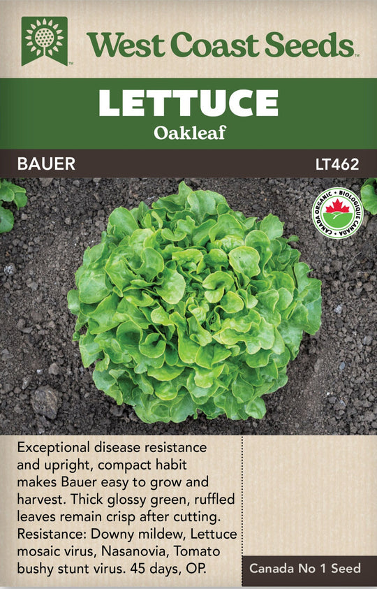 Organic Lettuce Bauer - West Coast Seeds