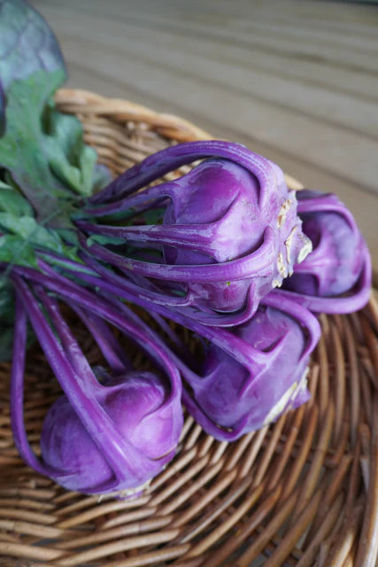 Organic Kohlrabi Azur Star - West Coast Seeds