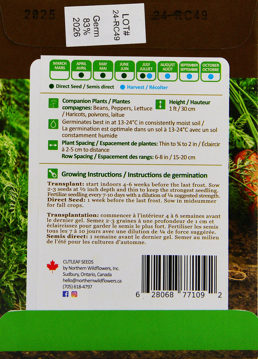 Carrot Kuroda - Northern Wildflowers