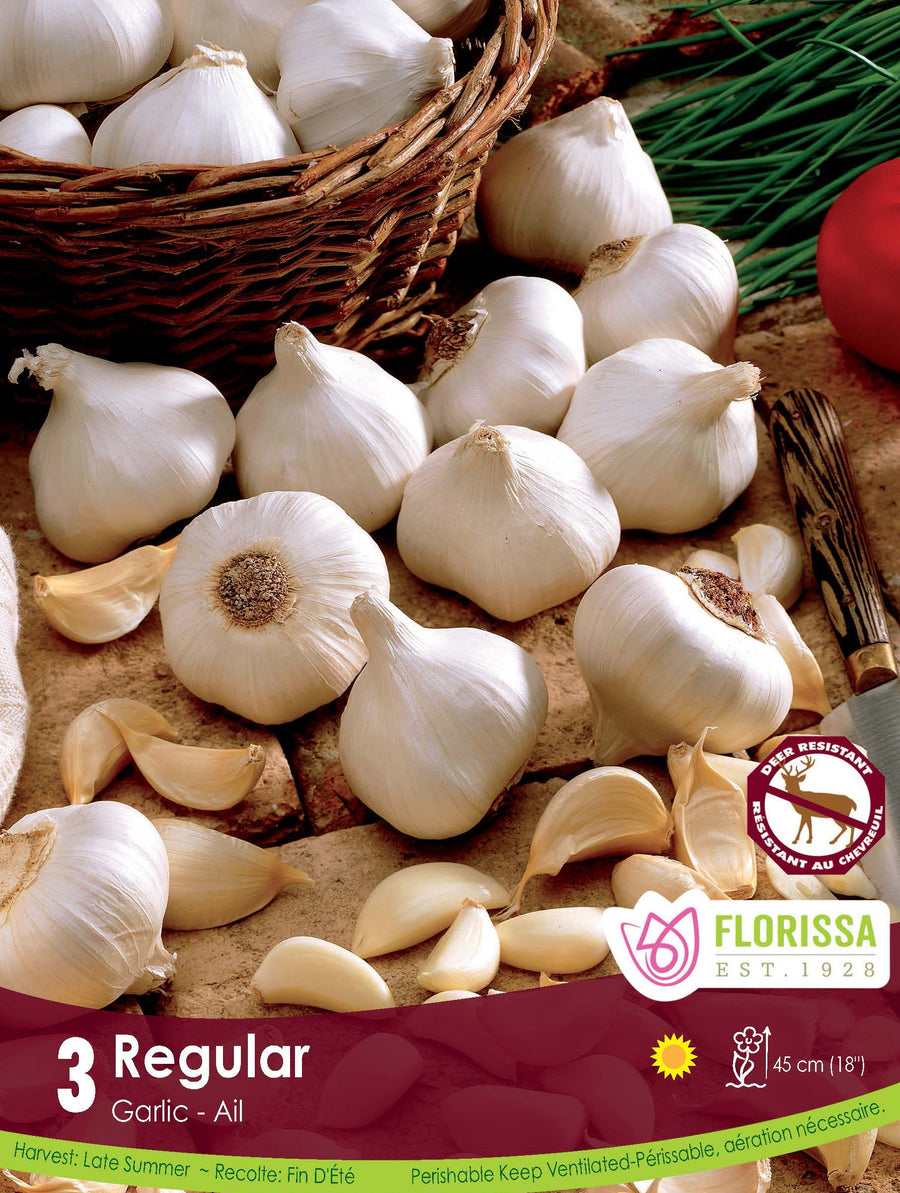 Garlic - Regular (Spring Planting)