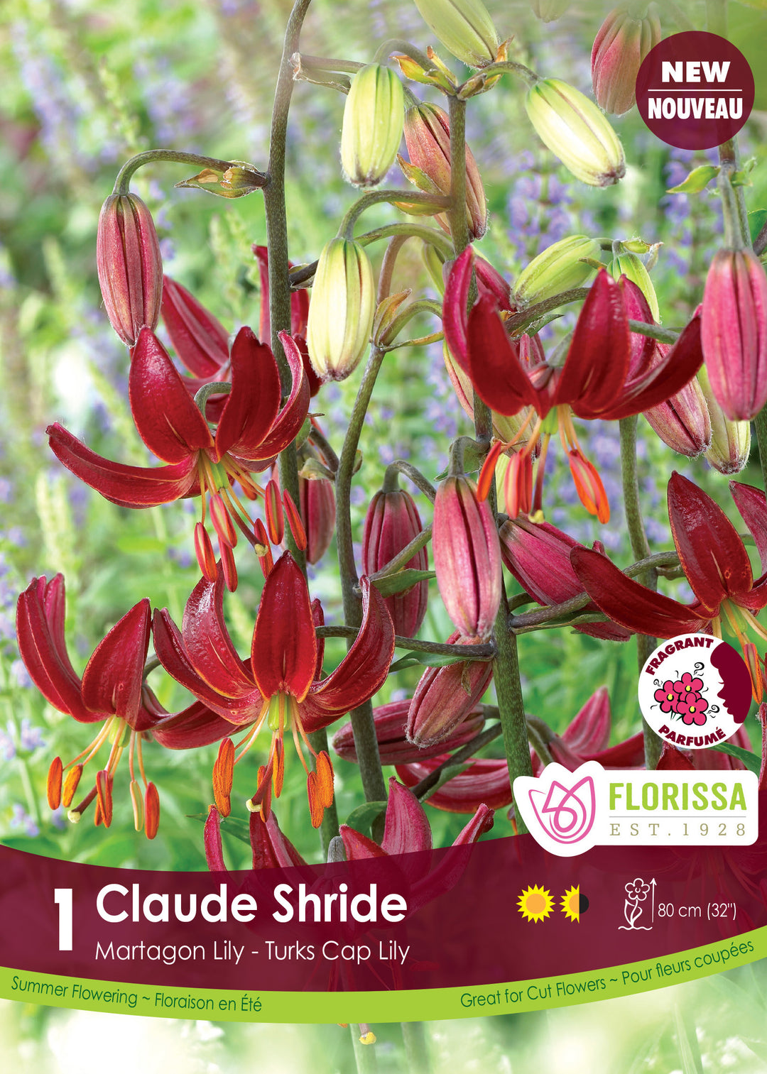 Lily Martagon - Claude Shride, 1 Pack
