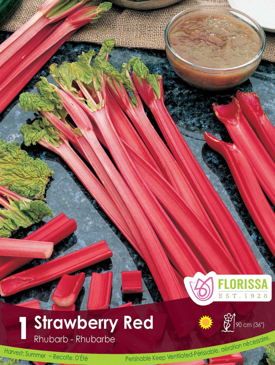 Rhubarb - Strawberry Red