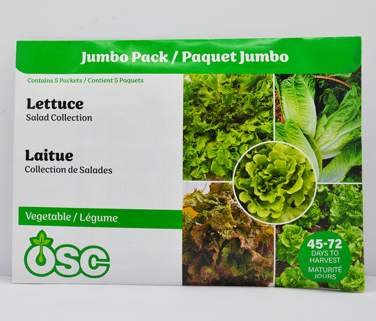 Lettuce Salad Collection Jumbo - Ontario Seed Company