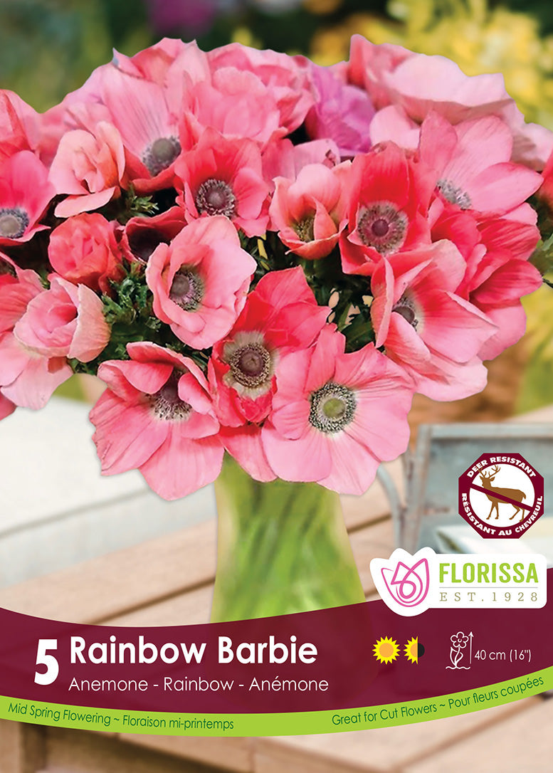 Anemone - Rainbow Barbie (Fall), 5 Pack