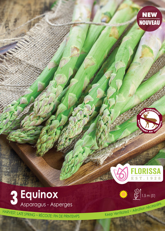 Asparagus - Equinox