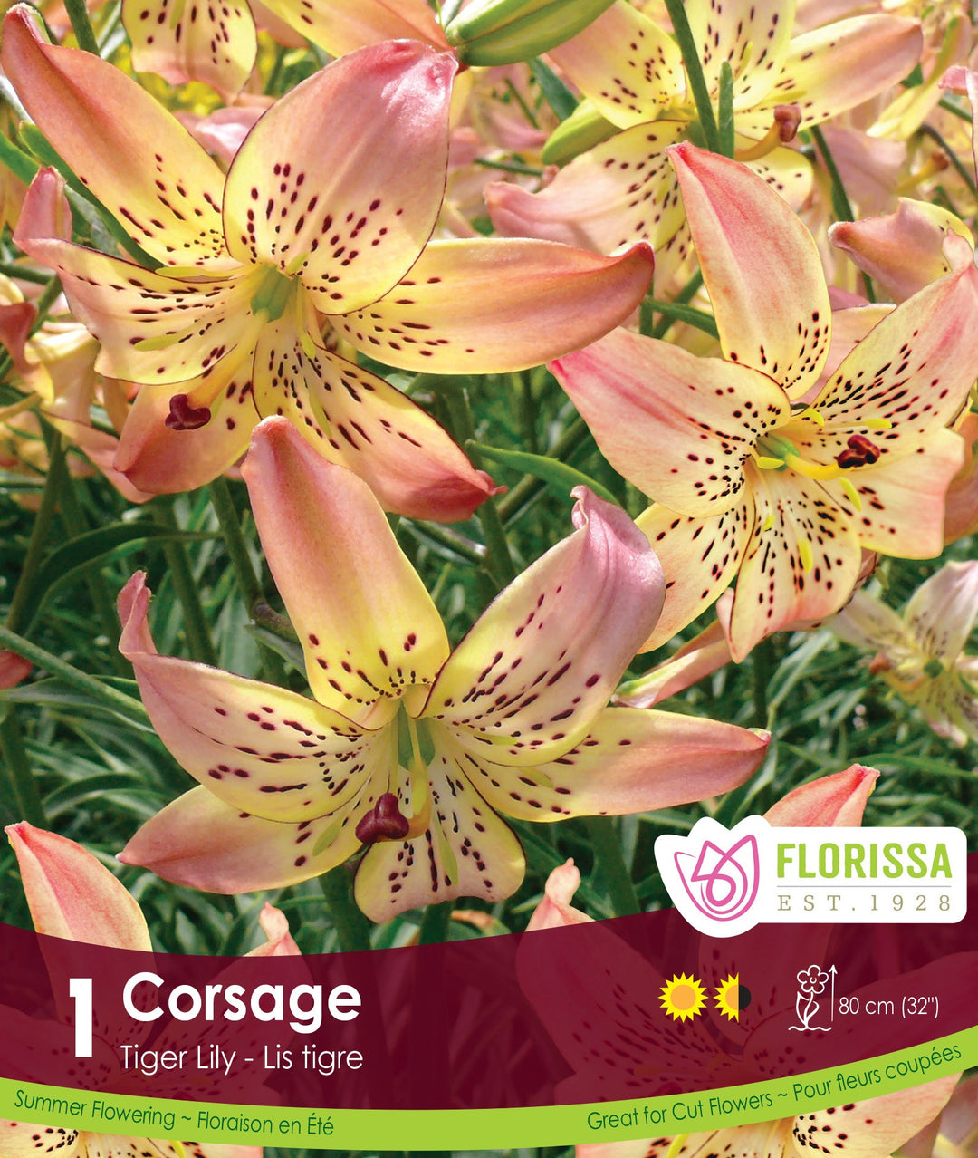 Lily, Tiger - Corsage