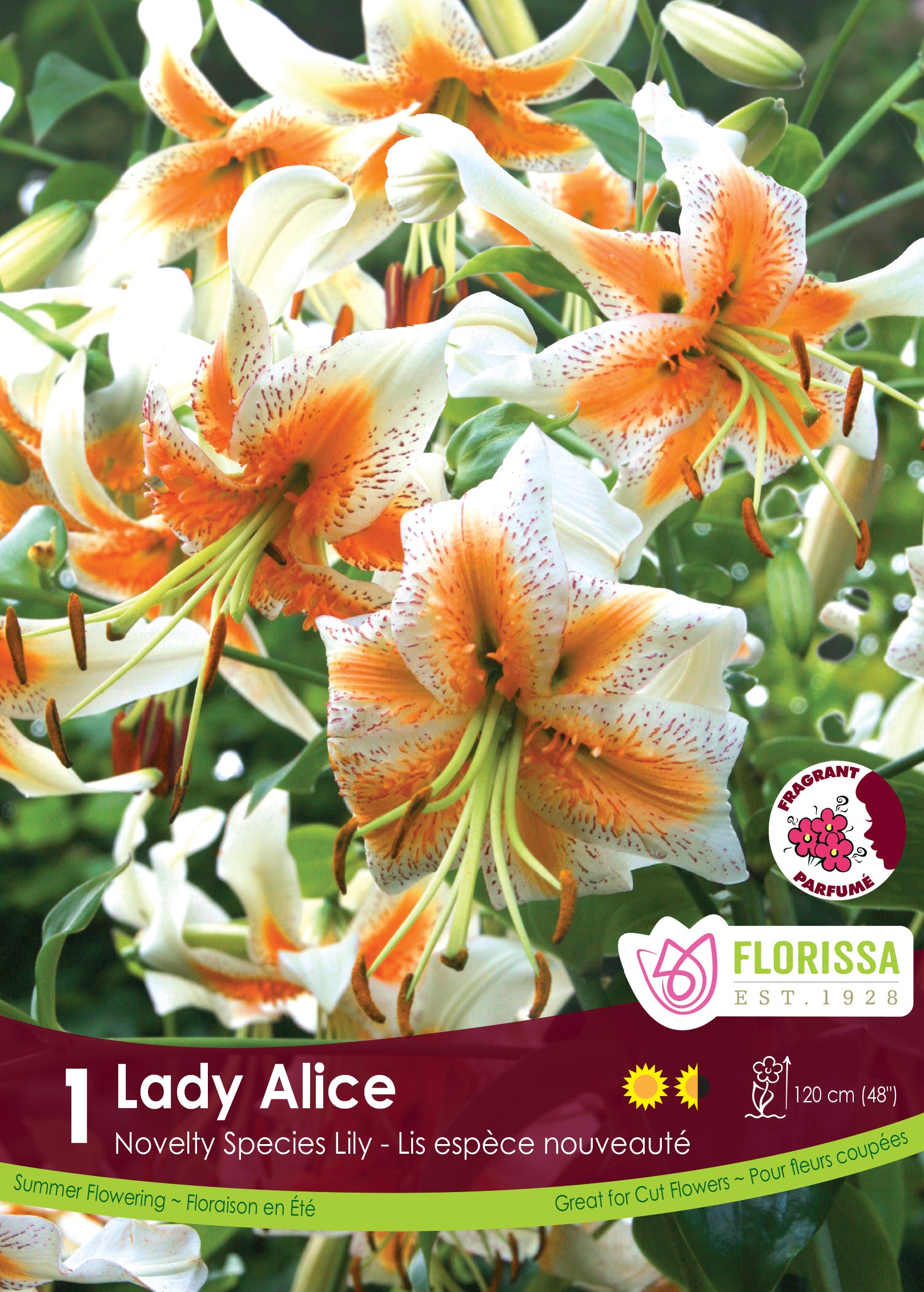 New Lilies – Wildwood Outdoor Living