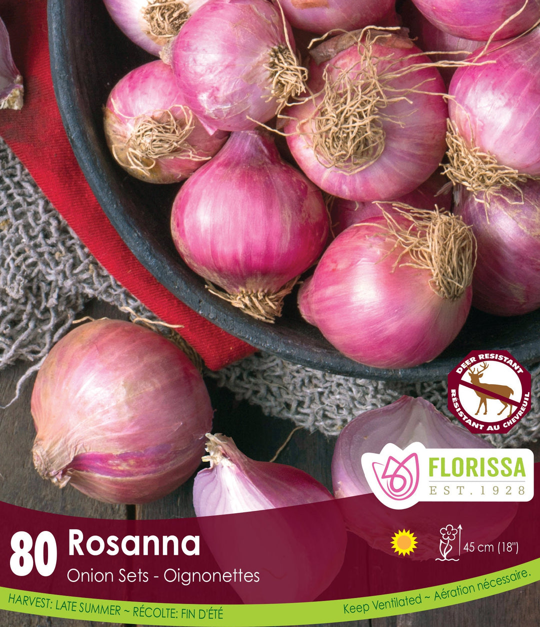 Onion - Rosanna, 80 Pack