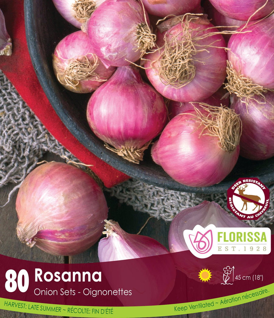 Onion - Rosanna, 80 Pack