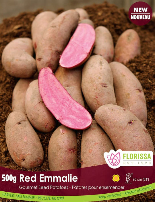 Gourmet Potato - Red Emmalie 500g