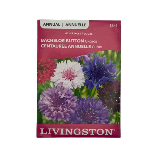 Bachelor Button Choice - Livingston (McKenzie Seeds)