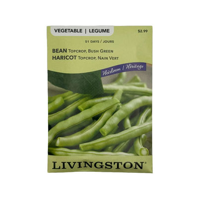 Bean Topcrop, Bush Green - Livingston (McKenzie Seeds)
