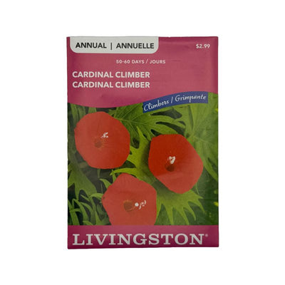 Cardinal Climber - Livingston (McKenzie Seeds)