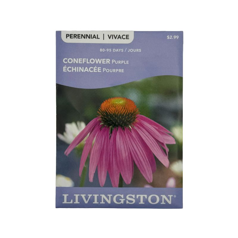 Echinicea Coneflower Purple - Livingston (McKenzie Seeds)