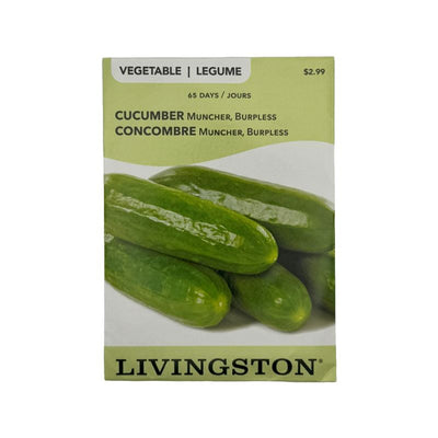 Cucumber Muncher Burpless - Livingston (McKenzie Seeds)