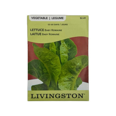 Lettuce Baby Romaine - Livingston (McKenzie Seeds)