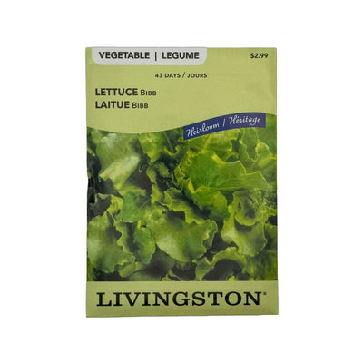 Lettuce Bibb - Livingston (McKenzie Seeds)
