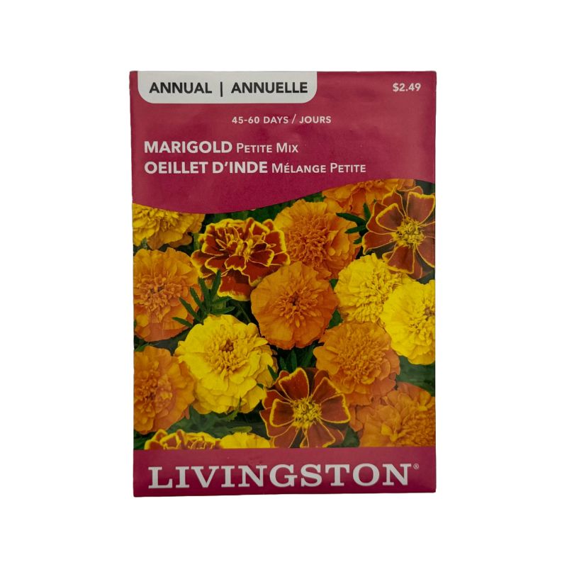 Marigold Petite - Livingston (McKenzie Seeds)