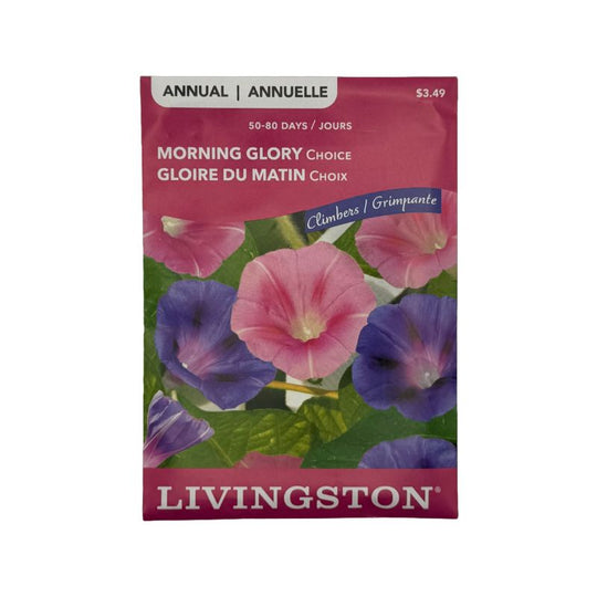 Morning Glory Choice - Livingston (McKenzie Seeds)