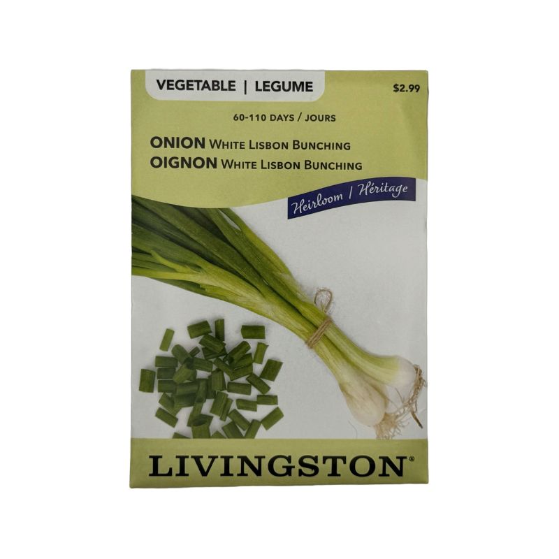 Onion White Lisbon Bunching - Livingston (McKenzie Seeds)