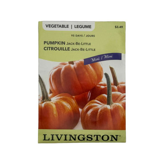 Pumpkin Jack-Be-Little - Livingston (McKenzie Seeds)