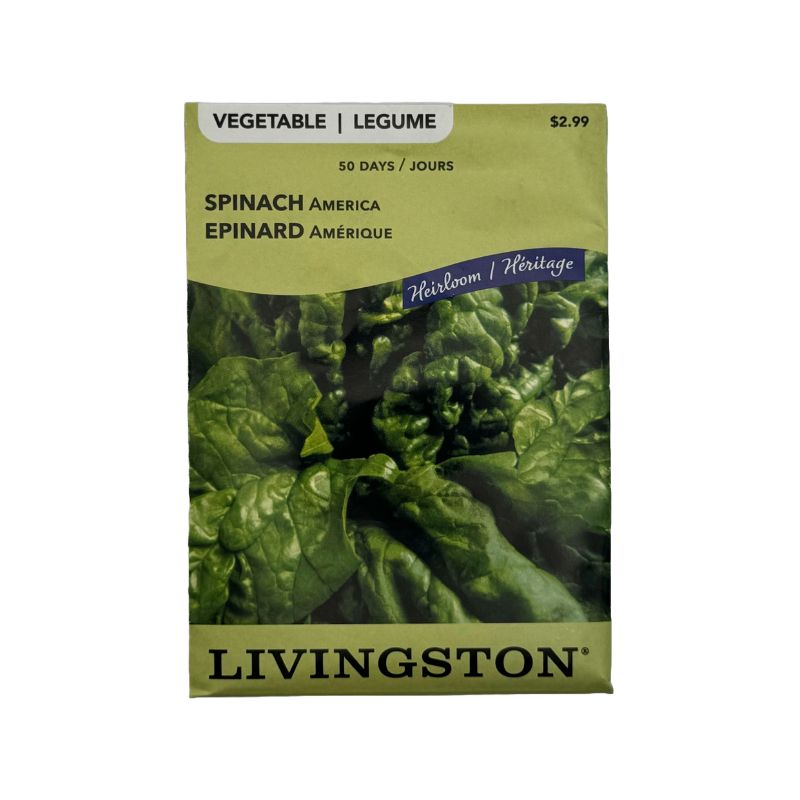 Spinach America - Livingston (McKenzie Seeds)