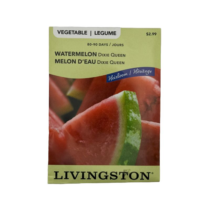 Watermelon Dixie Queen - Livingston (McKenzie Seeds)