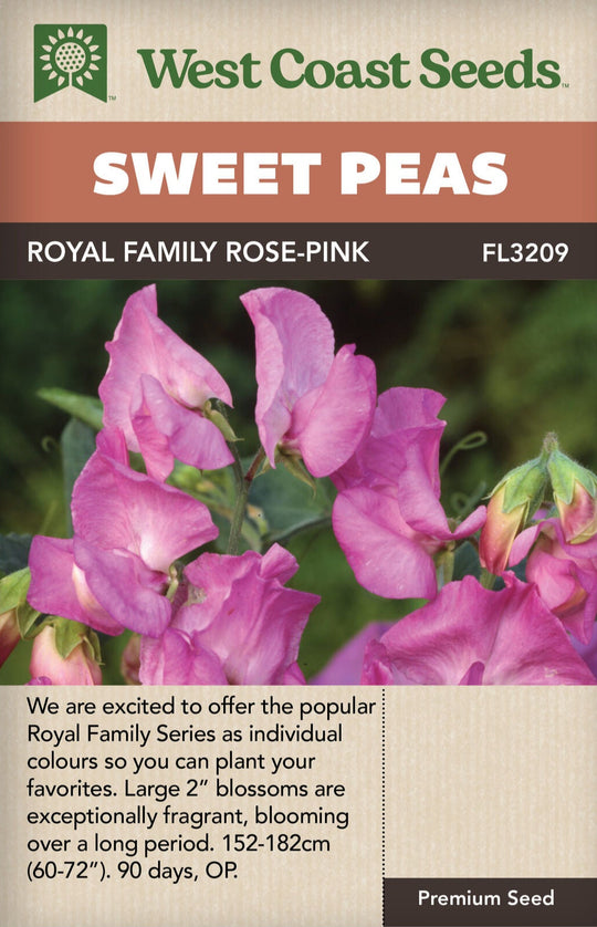 Sweet Peas Royal Family Rose-Pink - West Coast Seeds