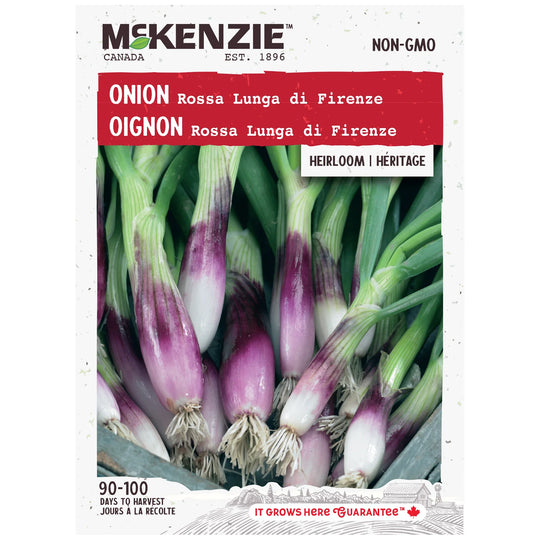 Onion Rossa Lunga di Firenze - Mckenzie Seeds