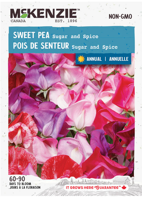 Sweet Pea Sugar & Spice - McKenzie Seeds
