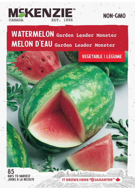 Watermelon Garden Leader Monster - McKenzie Seeds