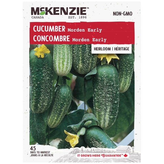 Cucumber Morden Early - McKenzie Seeds