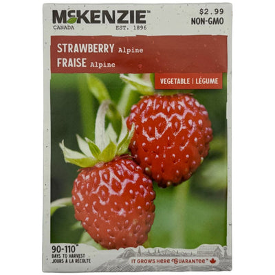 Strawberry Alpine - McKenzie Seeds