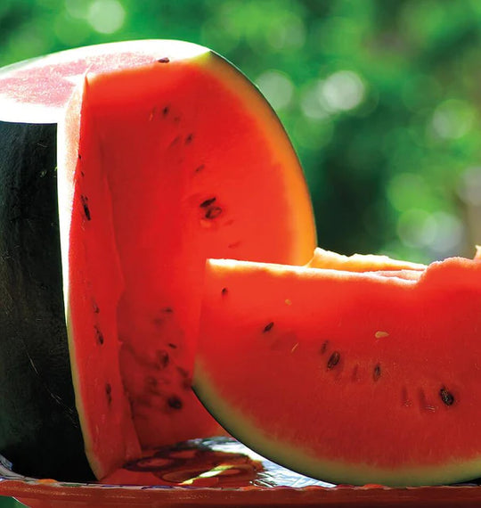 Organic Watermelon Sugar Baby - West Coast Seeds