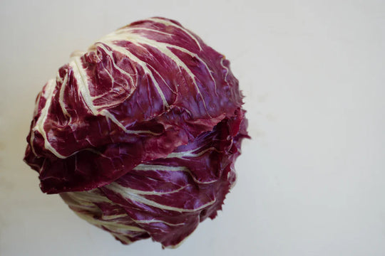 Chicory Perseo - West Coast Seeds