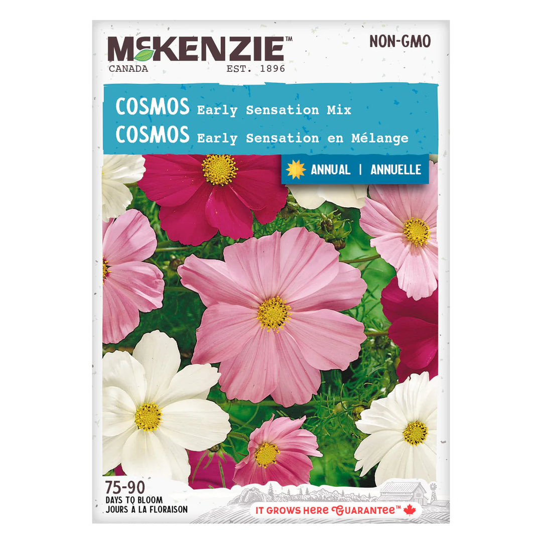 Cosmos Early Sensation Mix - McKenzie Seeds