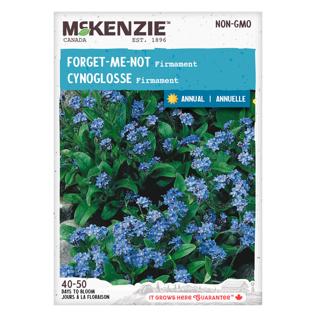 Forget-Me-Not Firmament - McKenzie Seeds