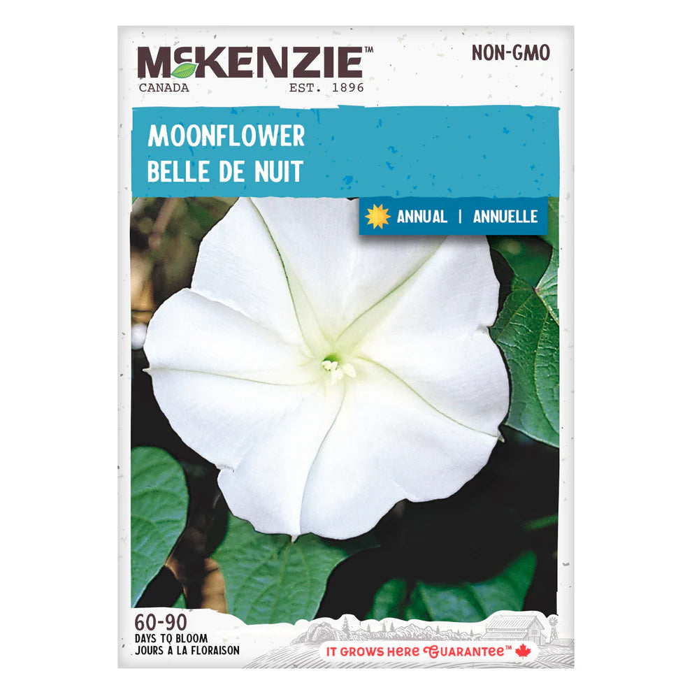 Moonflower - McKenzie Seeds