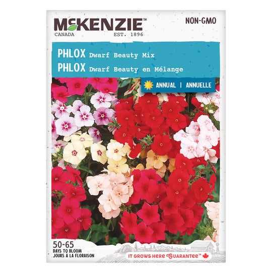 Phlox Dwarf Beauty Mix - McKenzie Seeds