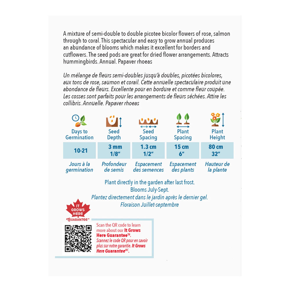 Poppy Falling in Love - McKenzie Seeds