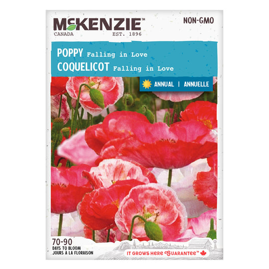 Poppy Falling in Love - McKenzie Seeds