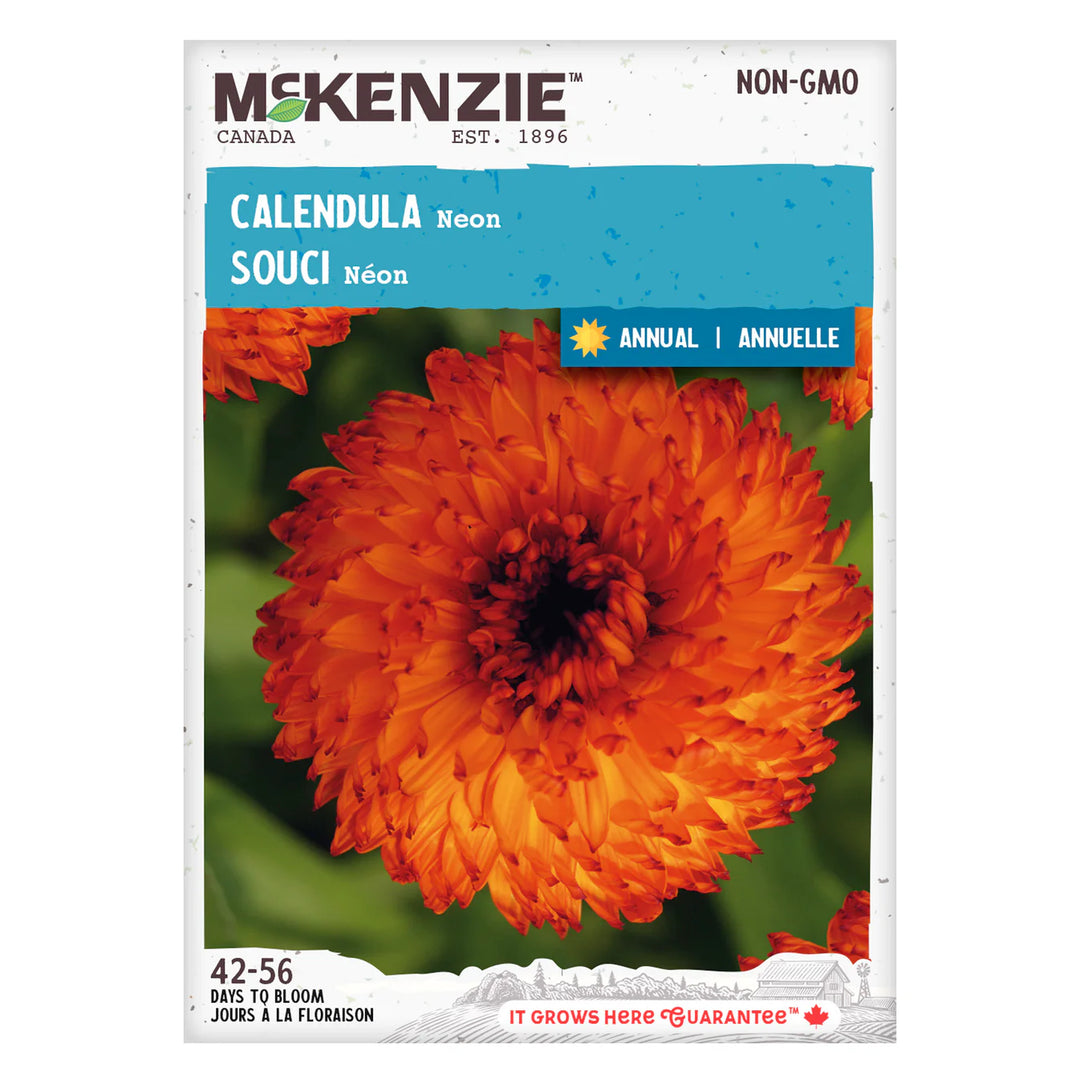 Calendula Neon - McKenzie Seeds